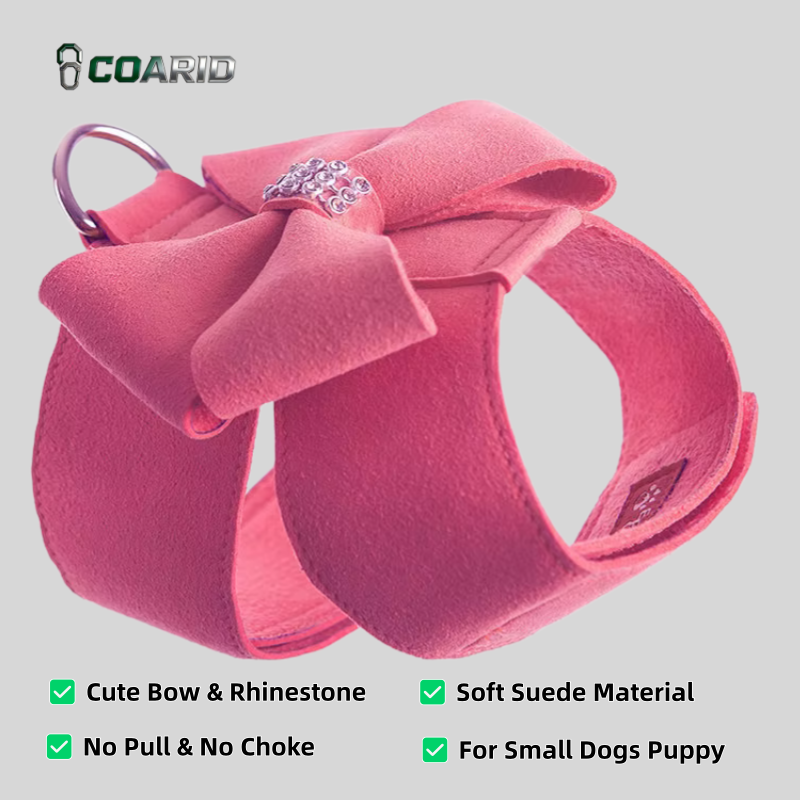 Cute Dog Harness Leash Set Sma - D Ring Strap 评论和价格