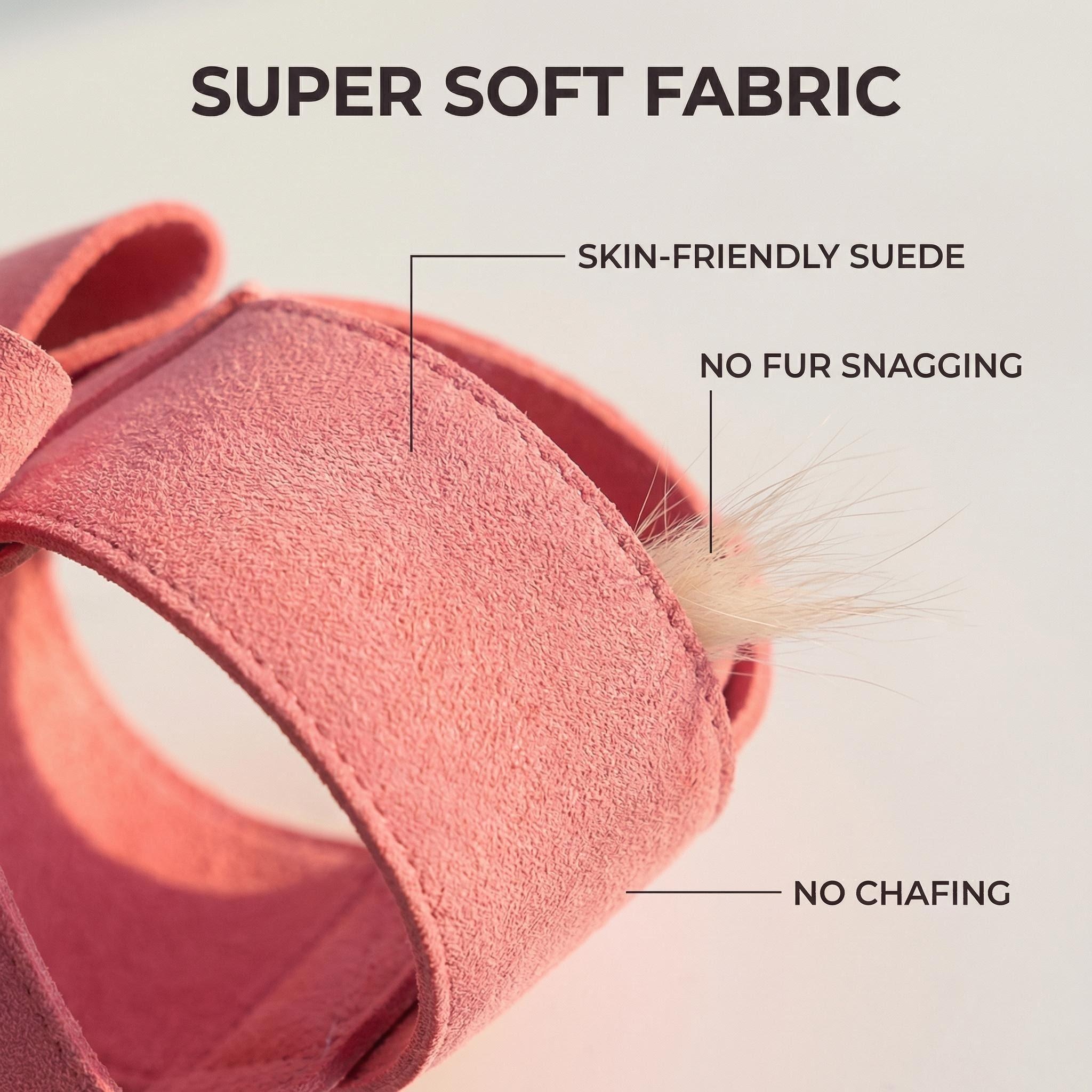 Cute Dog Harness Leash Set Sma - D Ring Strap 评论和价格