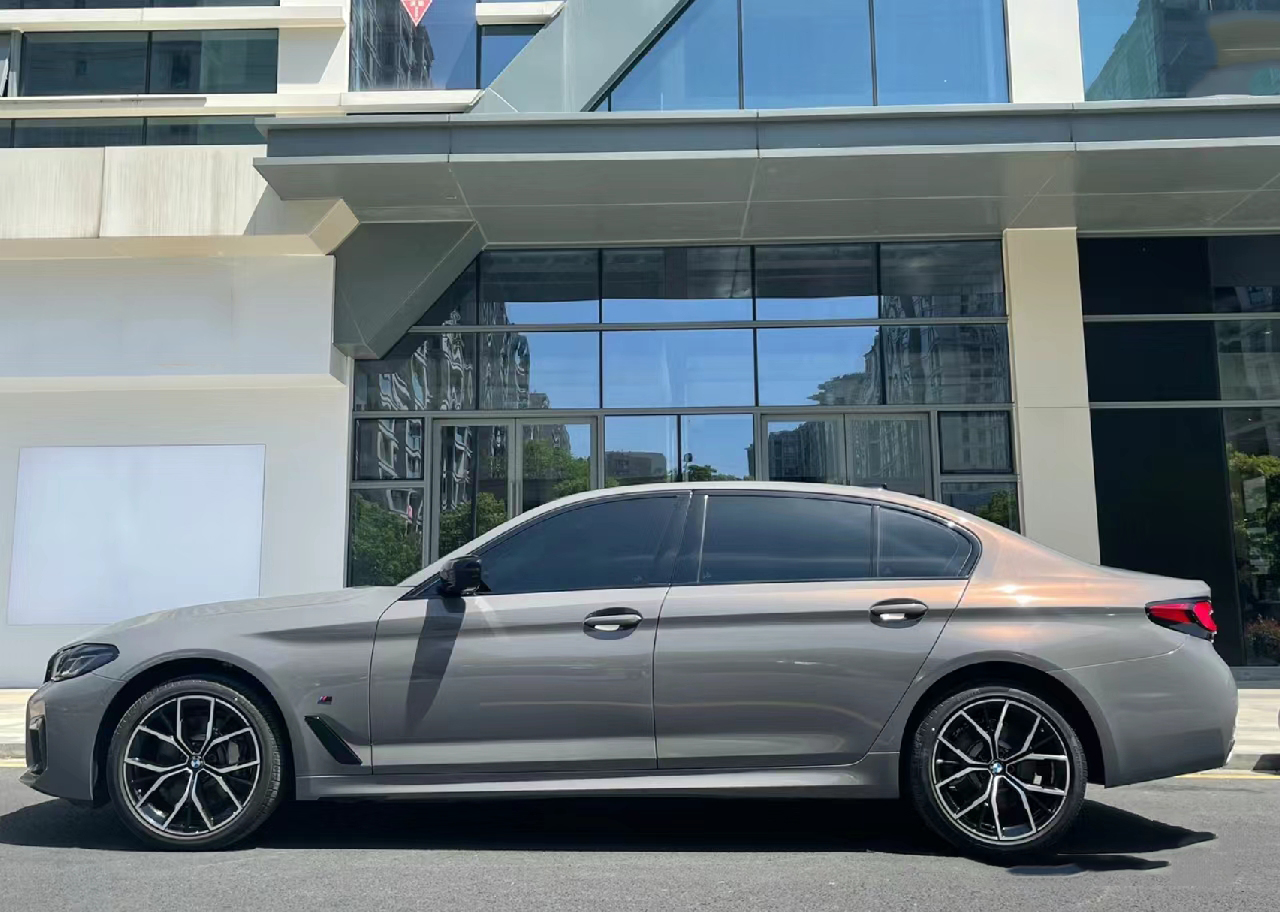 PET Backing Paint Protection S - Metallic Spray Paint 评论和价格
