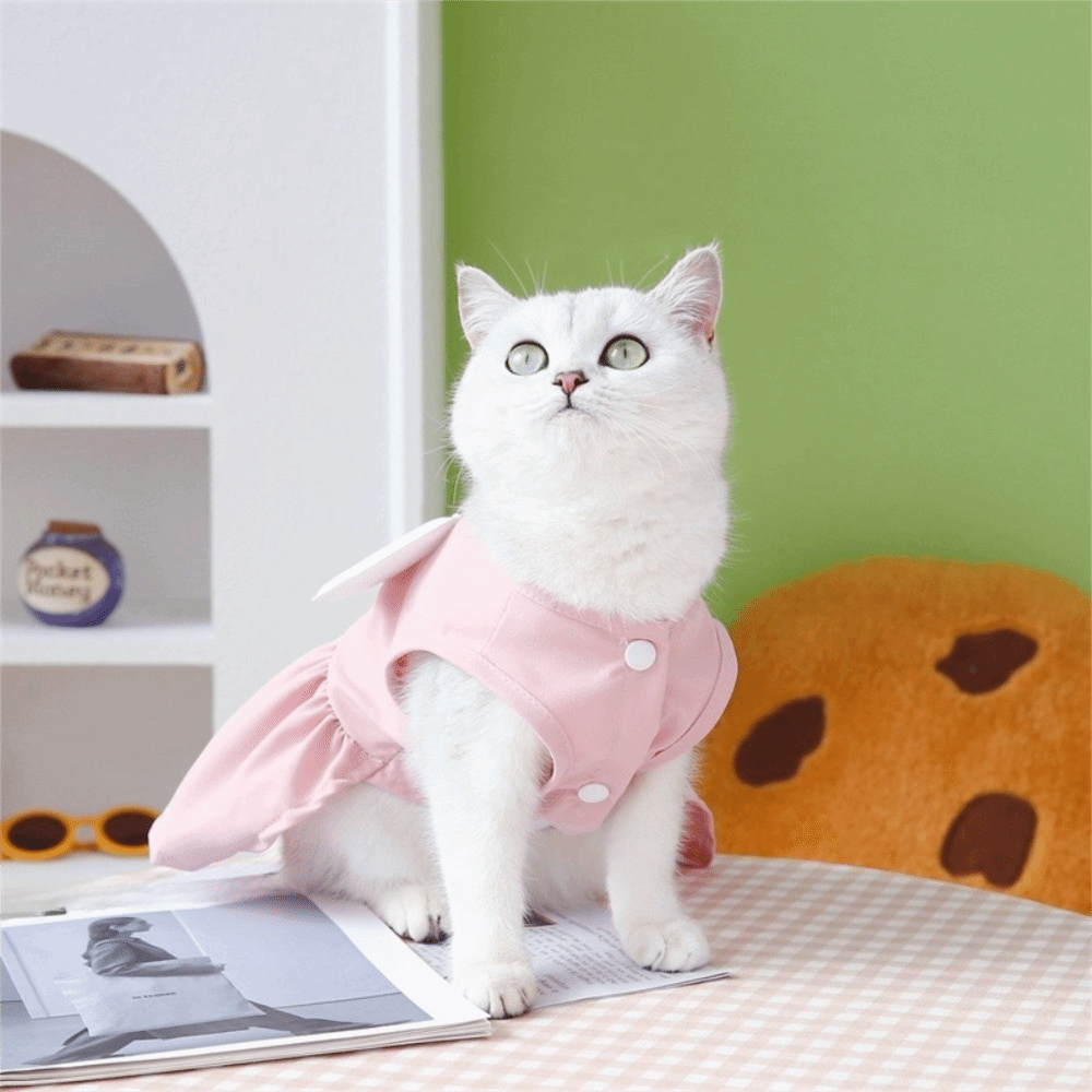 Pet Chest Strap Adorable Dog W - D Ring Strap 评论和价格