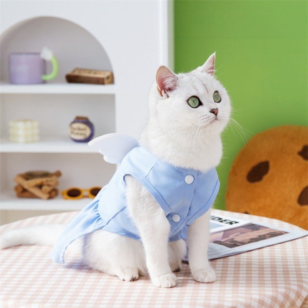 Pet Chest Strap Adorable Dog W - D Ring Strap 评论和价格